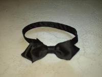 Noeud Papillon